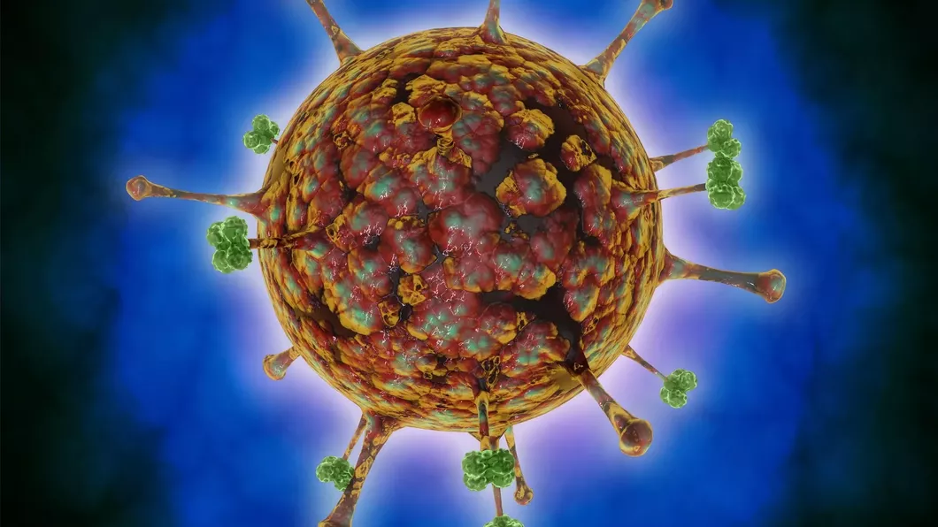 Virus de origine animală descoperit la oameni în China. Zeci de cazuri de infectare cu Henipavirus