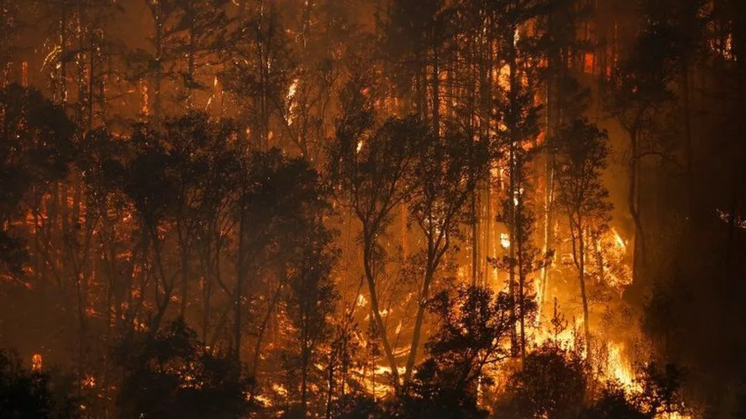 Incendiu puternic în California SUA. Misiune aproape imposibilă pentru pompieri