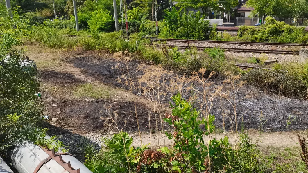 Incendiu de vegetație uscată în zona căii ferate din vecinătatea Mănăstirii Frumoasa. Pompierii au intervenit la fața locului - FOTO
