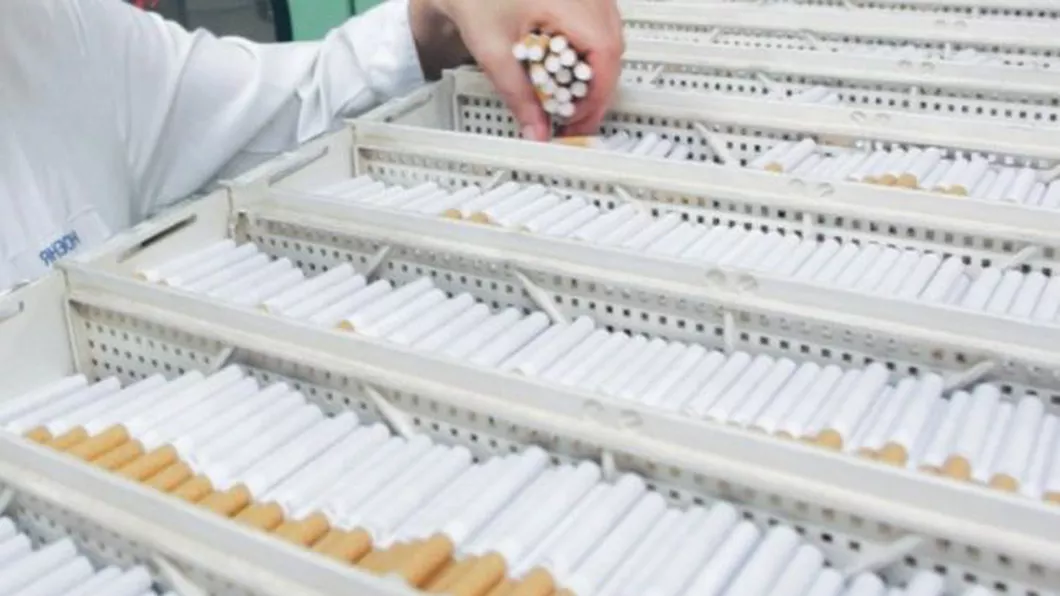 Fabrică ilegală de țigări în județul Neamț. Mai multe persoane au fost trimise în judecată