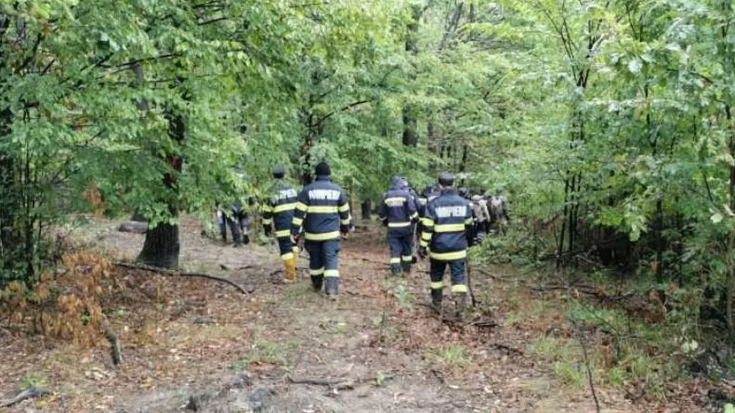 Zeci de poliţişti jandarmi şi pompieri participă la căutarea unui bătrân dispărut într-o pădure din Botoşani