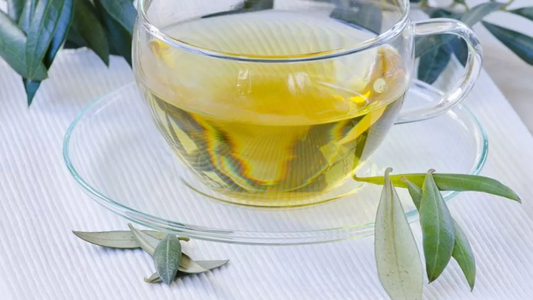 De ce e bine să bei ceai de eucalipt. Este un remediu cu beneficii multiple