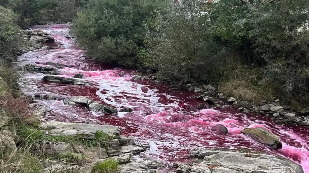 Fenomen neobişnuit pe un râu din Bistriţa Apa s-a înroşit brusc