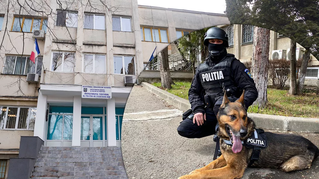 Poliția de Frontieră a alocat 90.000 de euro pentru câinii din dotare Două firme s-au prezentat la licitație