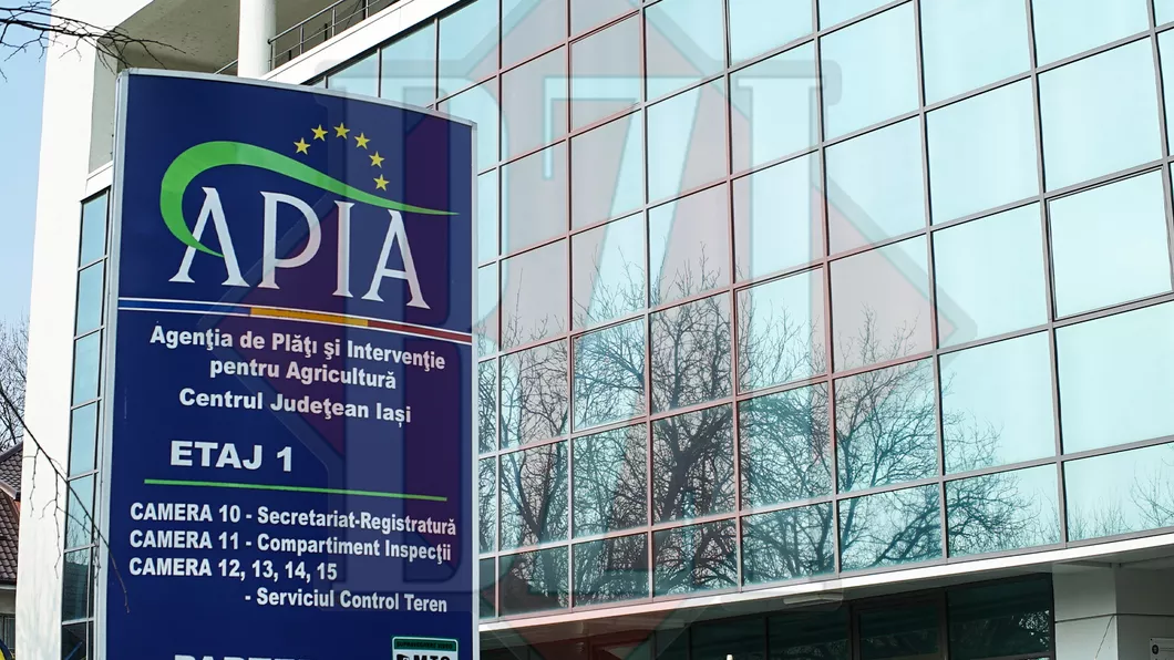 APIA demarează plățile finale pentru subvențiile aferente anului 2022. Fermierii din Iași au încasat 30 de milioane de euro