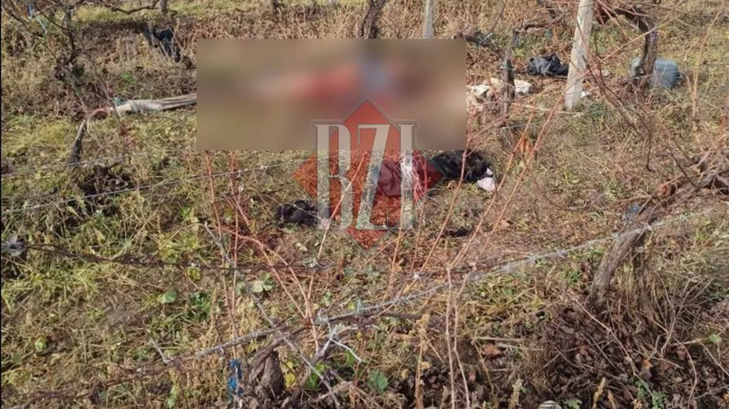 Imagini de coșmar O femeie a fost devorată de câini la Vișan. Nu a apucat să ceară ajutor - EXCLUSIV