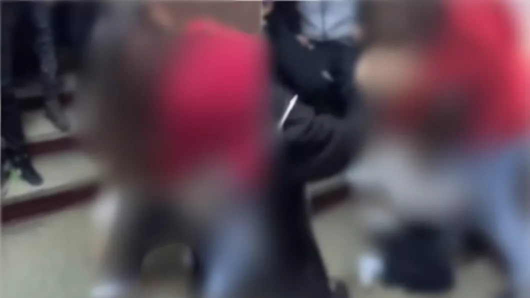 Două eleve din Bacău s-au luat la bătaie pe holurile unei școli