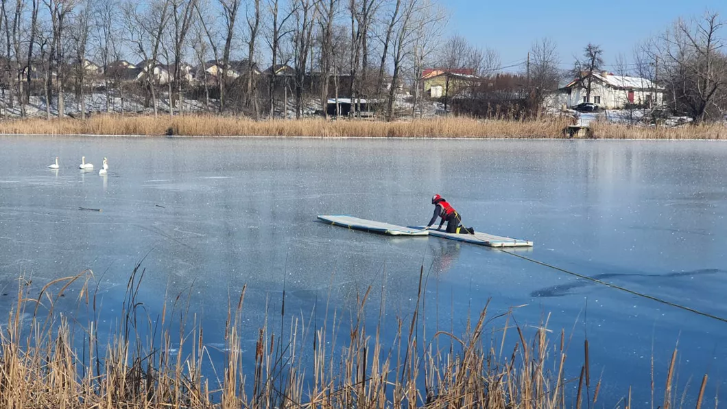 Mai multe lebede au rămas blocate în gheaţă pe lacul Dumbrava din Iaşi - FOTO VIDEO UPDATE