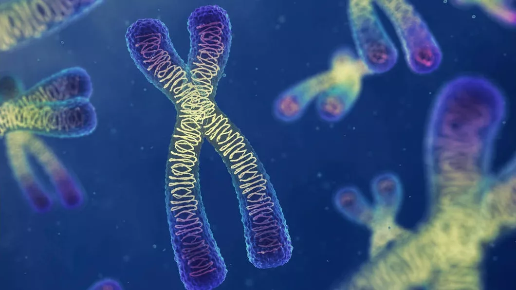 Ce sunt cromozomii Prof. dr. Miron Alexandru Bogdan Sunt cartea vieții fiecărui om - VIDEO