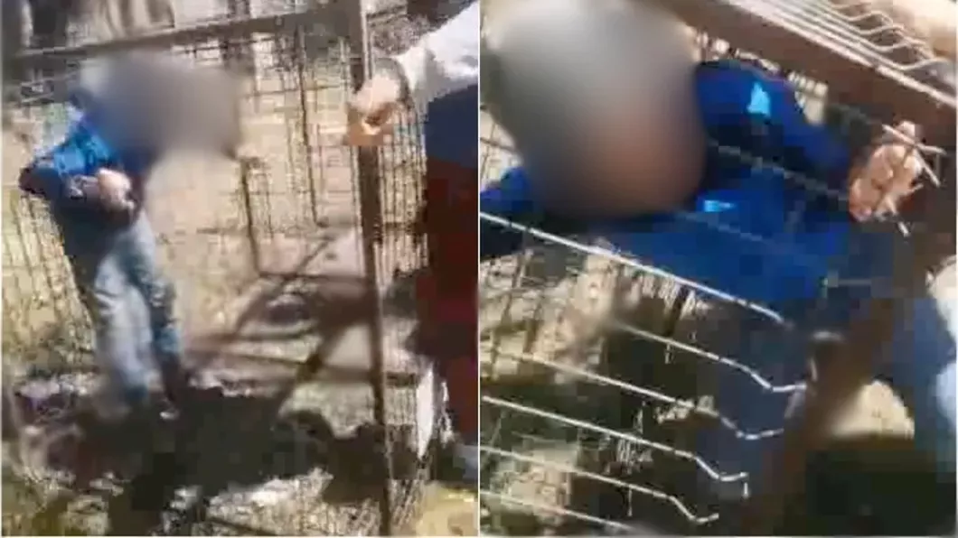 Un copil a fost băgat într-o cușcă metalică la o școală din Bacău. Tatăl elevului acuză că Poliția nu a luat măsuri - VIDEO