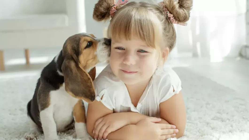 Câini de talie mică pentru copii. La ce să fiți atenți când vă alegeți animalul de companie