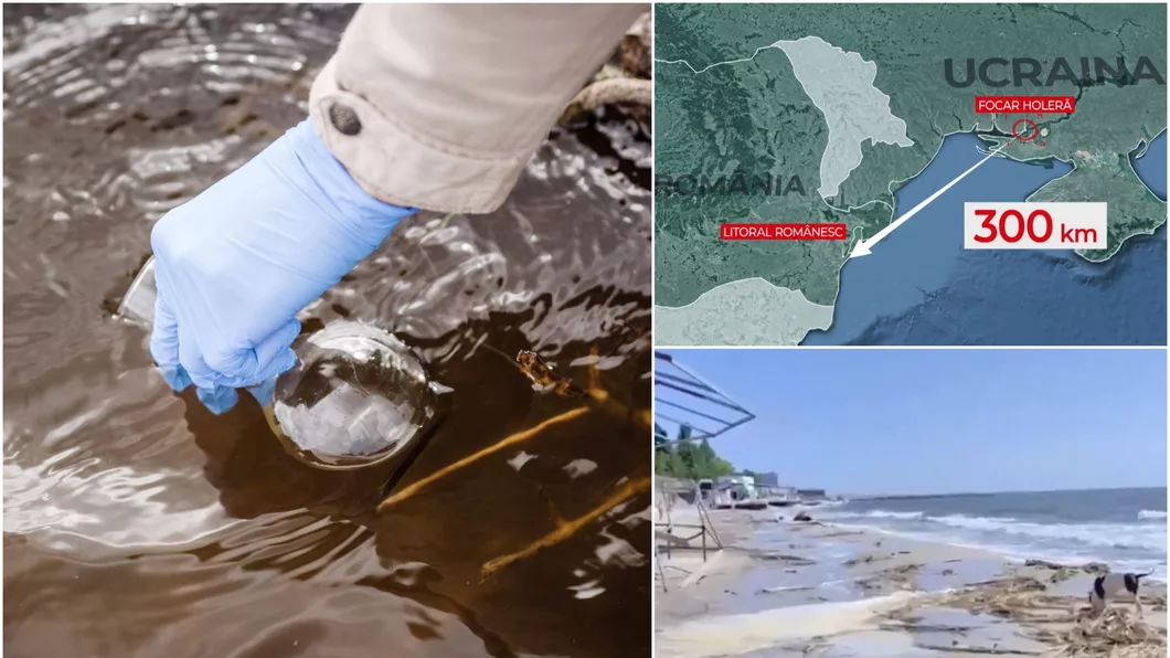 Pericol uriaș la Marea Neagră Risc de holeră pe litoralul românesc după distrugerea barajului din Ucraina