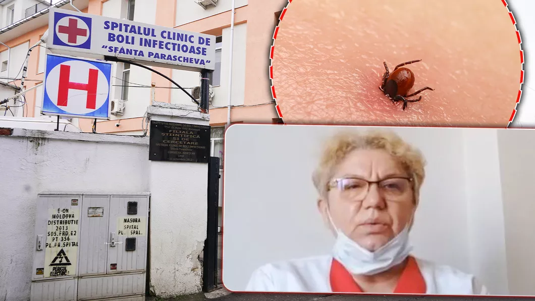 Primul pacient cu boală Lyme la Spitalul de Boli Infecțioase din Iași. De la începutul lunii peste 50 de ieșeni s-au prezentat la medic după ce au fost mușcați de căpușă - FOTO