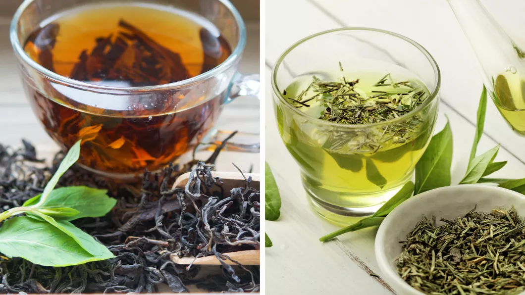 Ceai negru vs. ceai verde Care sunt diferențele