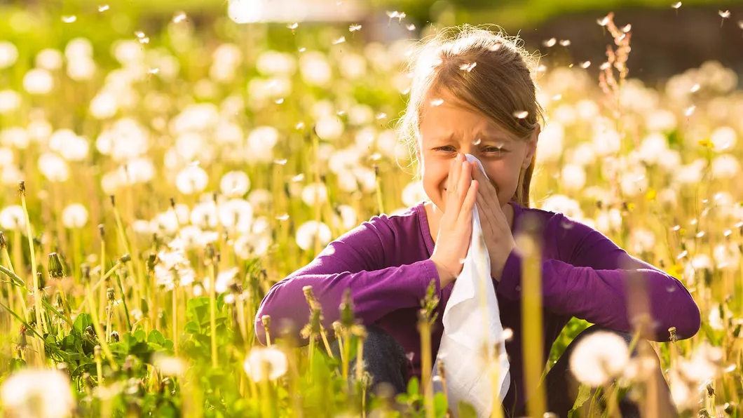 Din ce cauză apare febra fânului De ce factori este declanșată alergia sezonieră