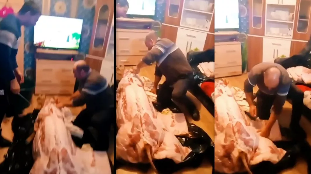 Românii virali pe internet Un porc a fost tranșat într-o locuință - VIDEO