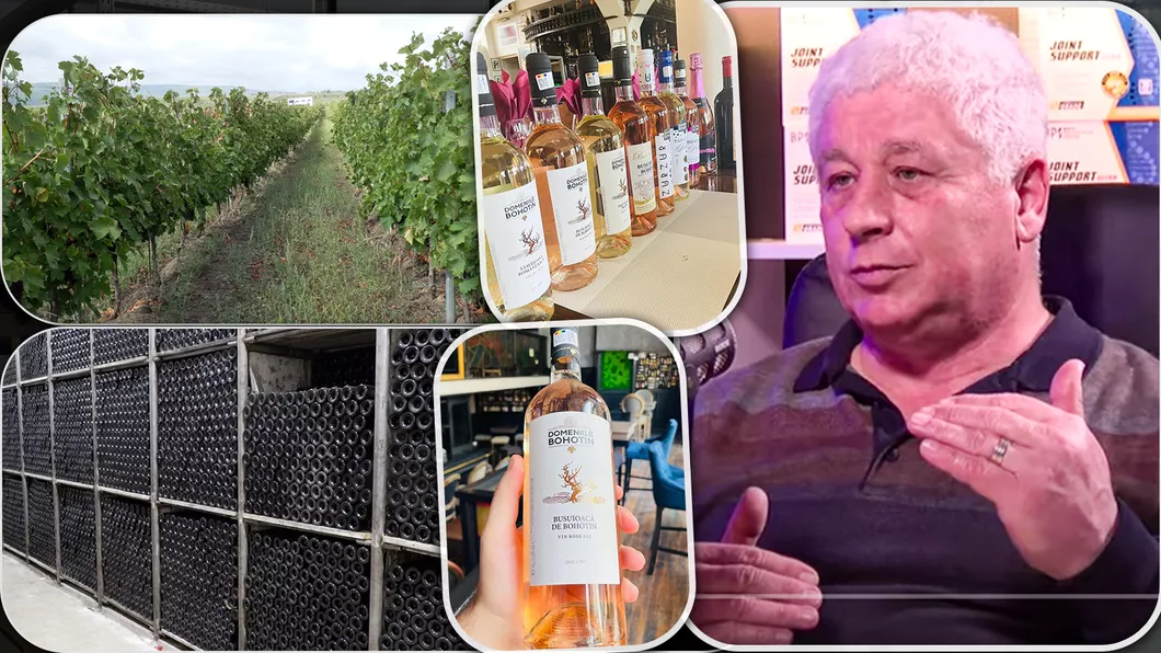 Ilie Ciomaga oenolog din Iași cu peste 4 decenii de experiență După mierea de albine vinul este cel mai complex produs natural - FOTOVIDEO