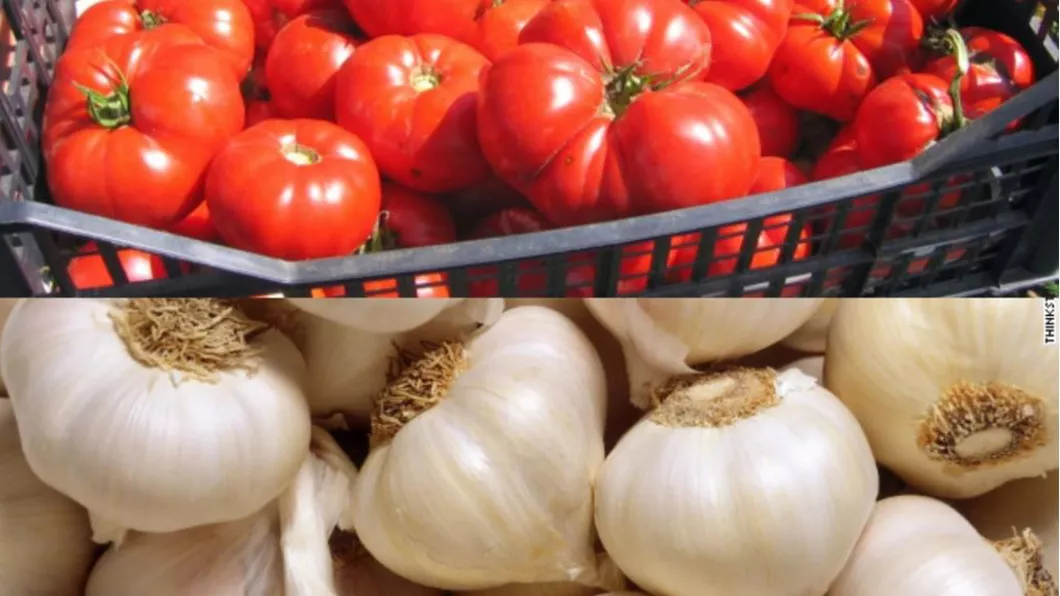 Producătorii de tomate şi usturoi din România vor primi ajutoare de peste 30 milioane euro. Care sunt condițiile de acordare