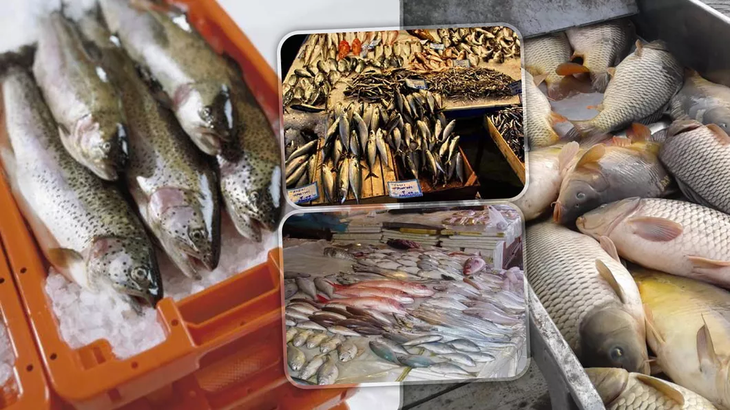 DSVSA Iași a confiscat 341 kg de pește stricat. Comerciantul a fost amendat cu 5.000 de lei