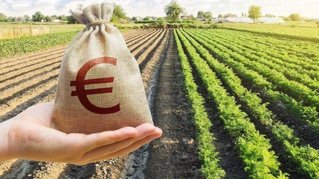 Cum să faci bani ușor în România Cultivarea acestei plante îți poate aduce un profit uriaș