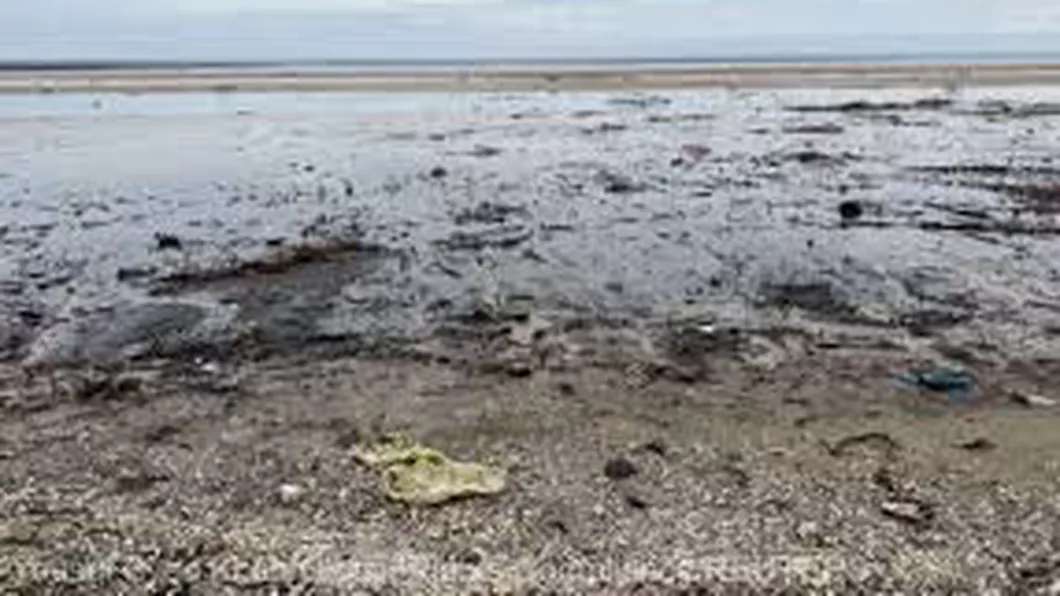 Este alertă pe litoral Nivel de poluare extrem de mare după deschiderea sezonului estival
