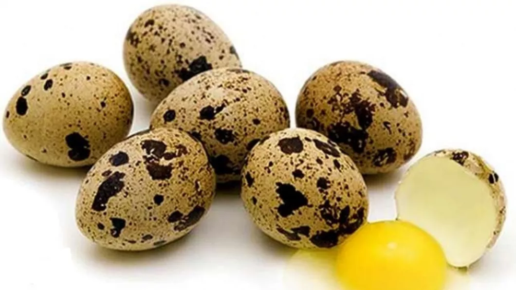 Cura cu ou de prepelita la copii. Mod de administrare si beneficii terapeutice