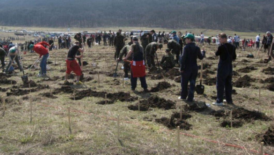 Prima Impadurire A Terenurilor Agricole Terminata In Decembrie Bzi Ro