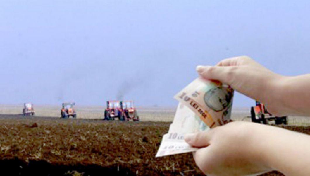 270 000 De Hectare Scoase De La Subventiile Agricole In 2015 Care Este Explicatia Buna Ziua Iasi Bzi Ro