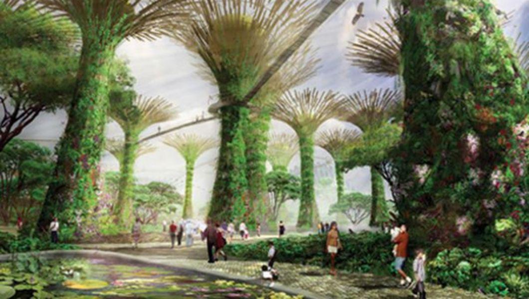 Imagini Spectaculoase Cu Arborii Creati De Municipalitatea Din Singapore Foto Bzi Ro