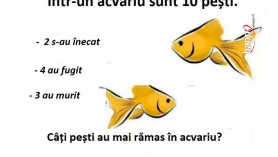 Test Peste 80 Dintre Cei Care Au Incercat Sa L Rezolve L Au Picat Cati Pesti Sunt In Acvariu Raspunsul Te Va Surprinde Buna Ziua Iasi Bzi Ro