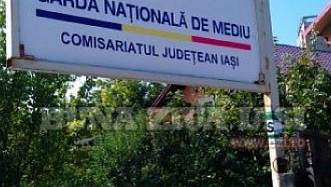 Exclusiv Sef Nou La Garda De Mediu Iasi Buna Ziua Iasi Bzi Ro