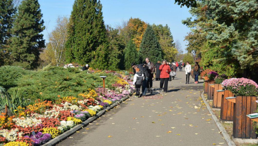 O Noua Editie A Expozitiei Flori De Toamna La Gradina Botanica