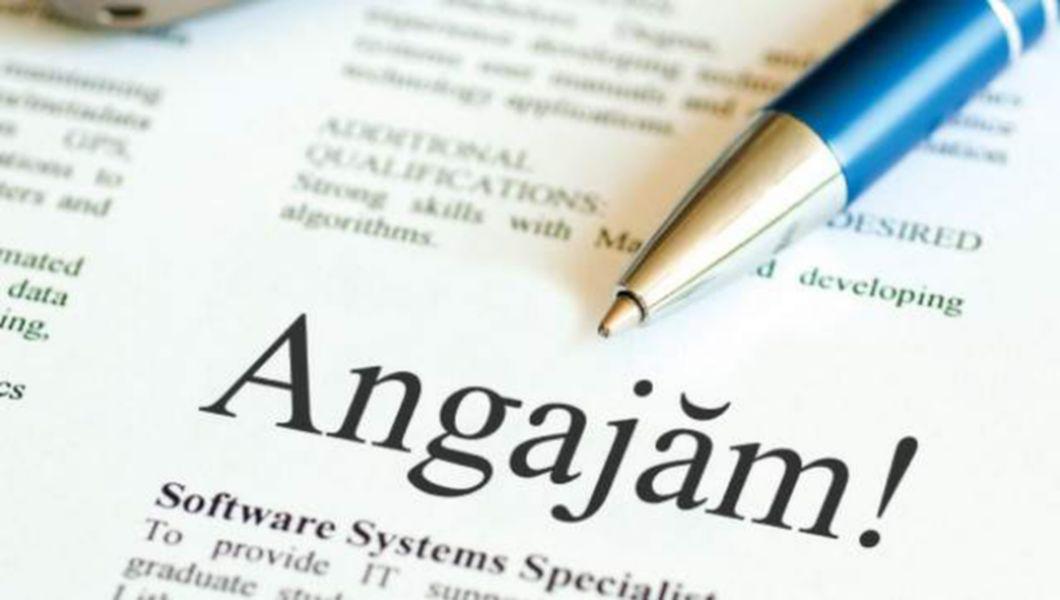 Bzi Singurul Ziar Din Iasi Care Ti Ofera In Fiecare Zi Toate Locurile De Munca Bzi Ro