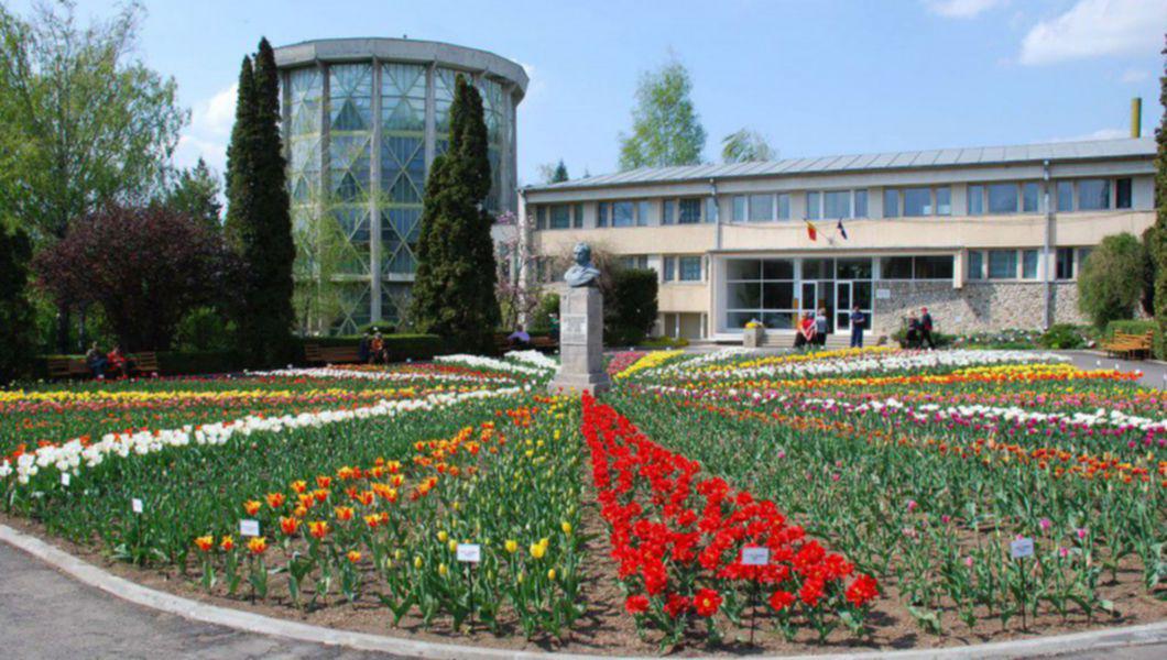 Expozitie Inedita De Plante Exotice In Gradina Botanica Buna Ziua Iasi Bzi Ro