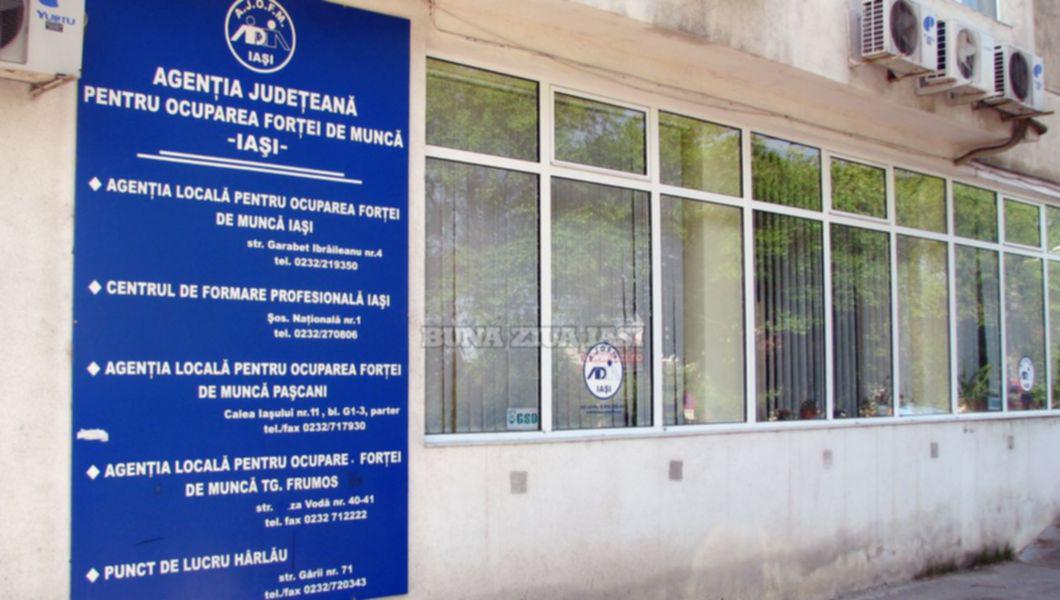 Agentia Judeteana Pentru Ocuparea Fortei De Munca Iasi Angajeaza Un Consilier Juridic Buna Ziua Iasi Bzi Ro