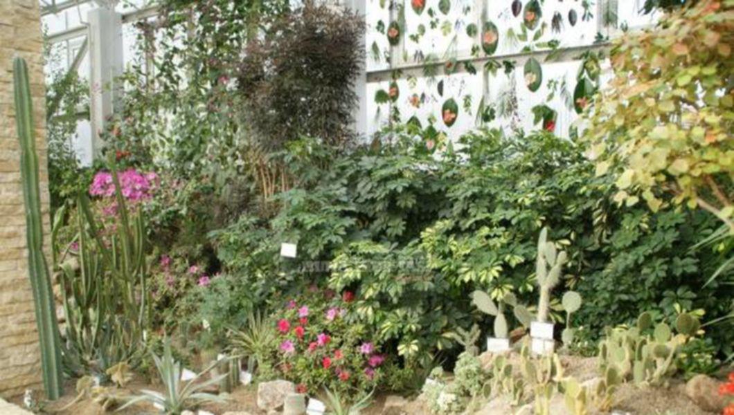 Sambata Se Deschide Expozitia De Azalee Si Camelii La Gradina