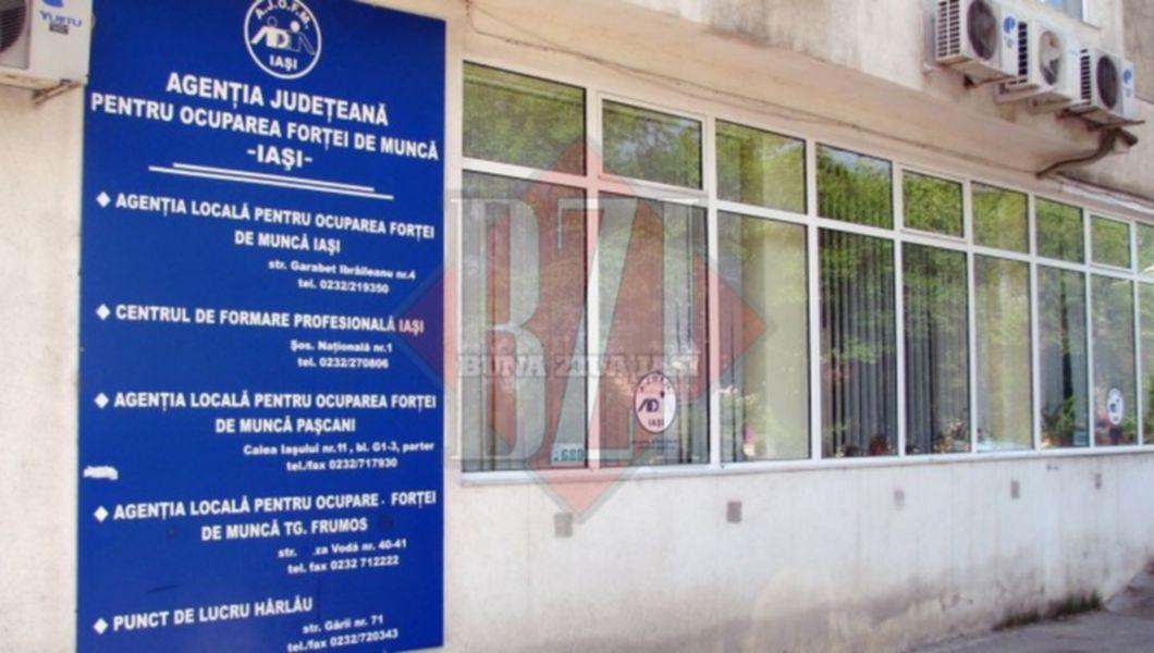 Ajofm Iasi Pune La Dispozitia Celor Interesati Locuri De Munca In Diverse Domenii Buna Ziua Iasi Bzi Ro