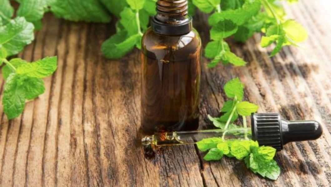 Uleiul Esential De Menta Nu Ar Trebui Sa Lipseasca Din Nici O Casa Numeroase Beneficii Pentru Diverse Afectiuni Buna Ziua Iasi Bzi Ro