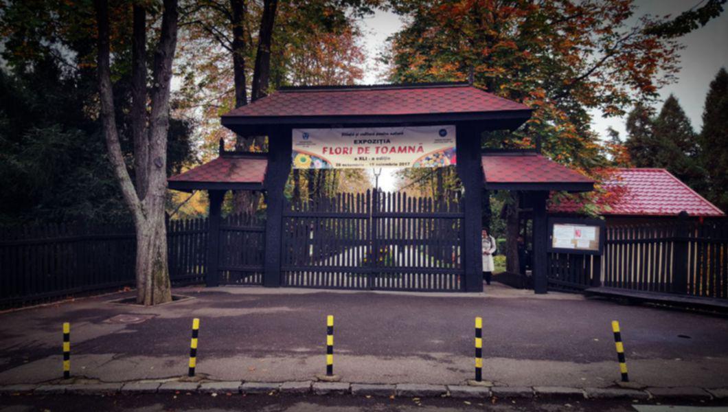 Exclusiv S A Decis Soarta A 20 De Hectare Din Gradina Botanica