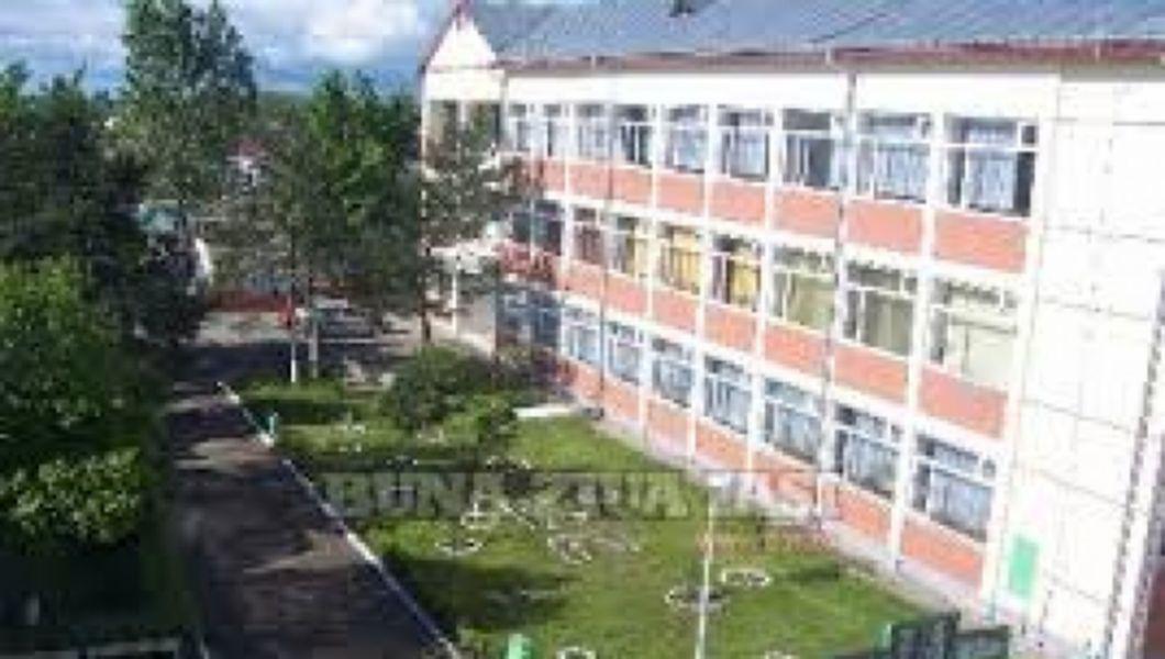 Elevii De La Colegiul Tehnic De Cai Ferate Unirea Pascani Au Sarbatorit Ziua Europei Bzi Ro