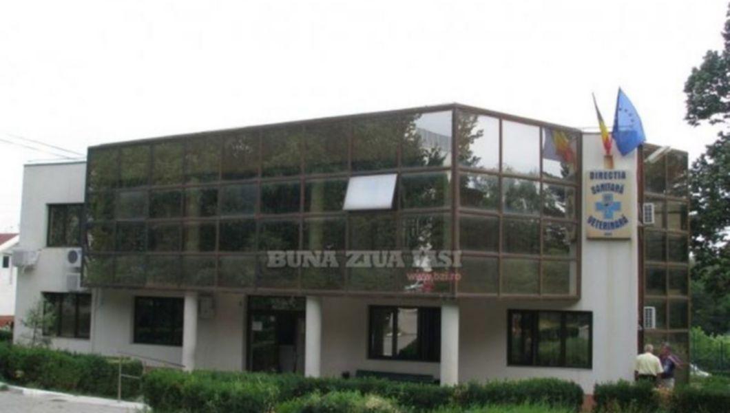Direcția Sanitar Veterinară Iași Face Angajări Buna Ziua Iasi Bzi Ro