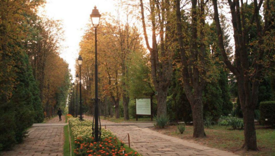 Anunțul Meteorologilor La Iași Vreme Inchisă Cu Temperaturi In Scădere Buna Ziua Iasi Bzi Ro