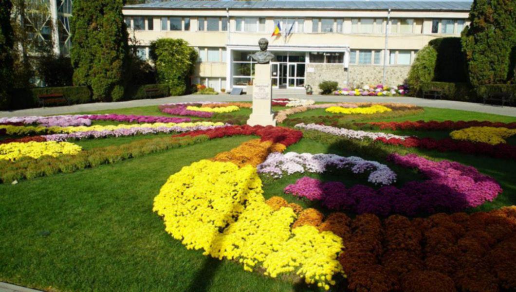 Filmare Superbă Din Gradina Botanică Iași Ce Vom Putea Admira