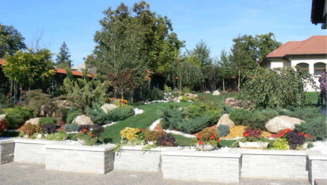 Model De Afacere De Succes In Plină Pandemie Covid 19