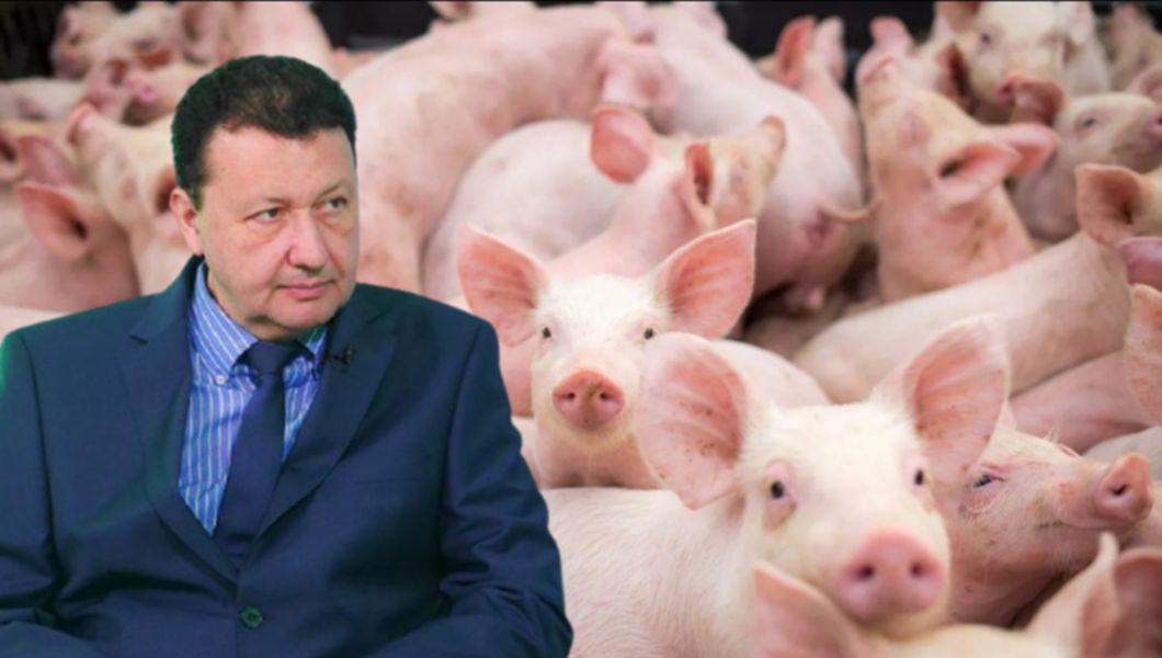 Ferme cu porci; Gabriel Ciobanu, directorul DSVSA Iași