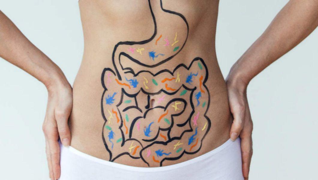 femeie care are desenat pe burta sistemul digestiv