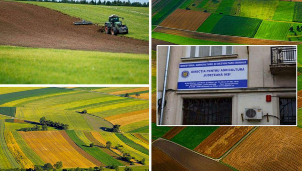 Terenuri agricole și sediul Direcției Agricole Iași
