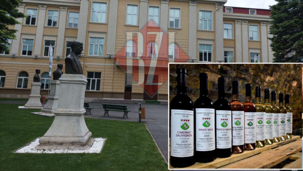 Facultatea de Horticultură Iași, Universitatea de Științele Vieții „Ion Ionescu de la Brad” din Iași și degustare de vin