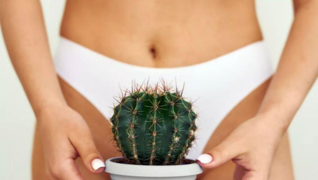 femeie care tine un cactus in dreptul zonei intime