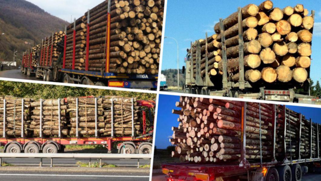 Camioane cu lemn